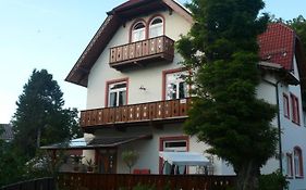 Apartments Alte Villa